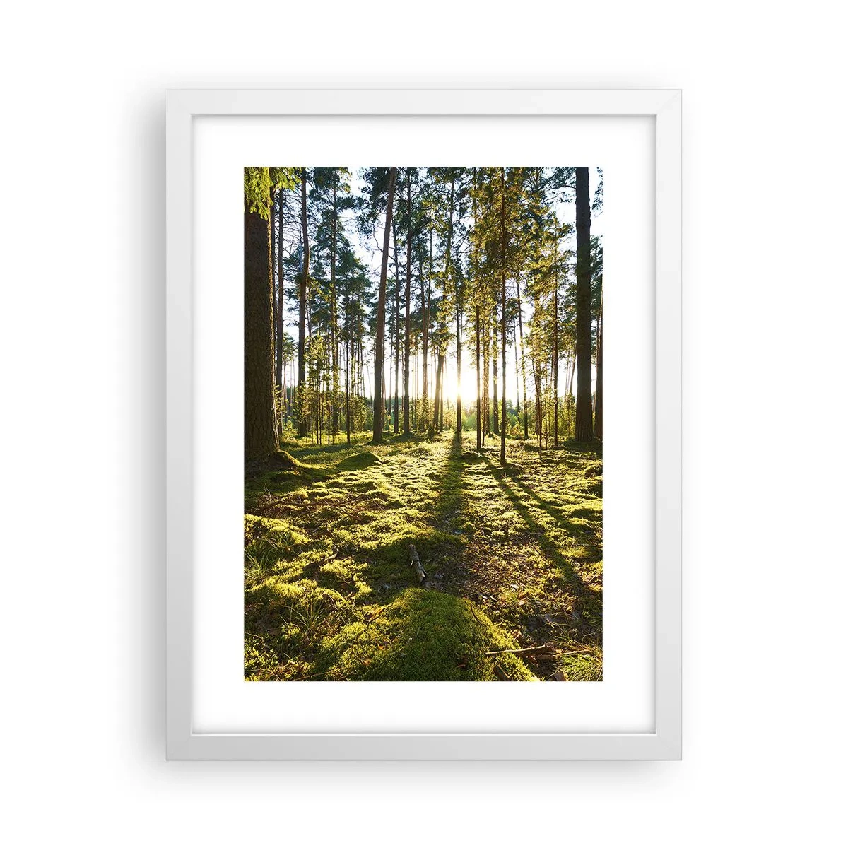 Poster în ramă albă - Pădurea misterioasă - 30x40 cm