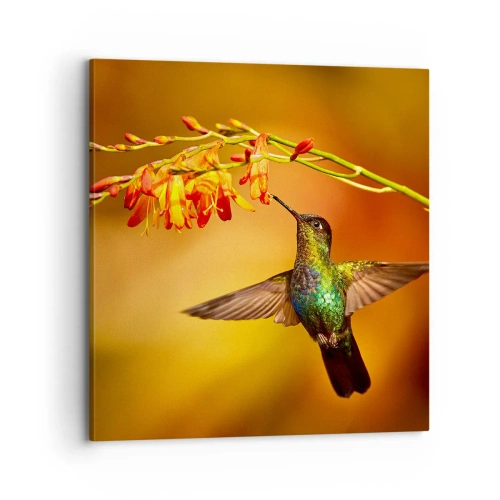 Tablou pe pânză - Mesagerul mayaș al luminii - 70x70 cm