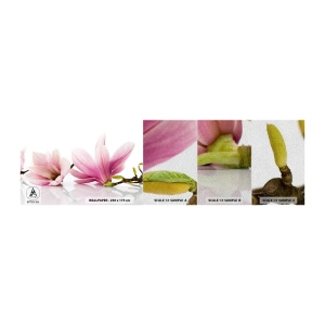Mostră tapet Premium Sand - Delicate ca o adiere de primăvară - Floare, Magnolie, Natură - 100x30 cm