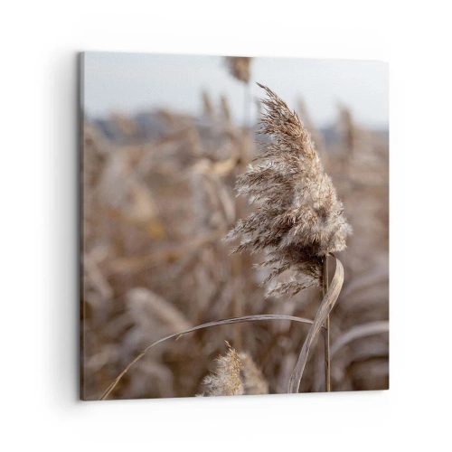 Tablou pe pânză - E timpul să zbori cu vântul - 50x50 cm