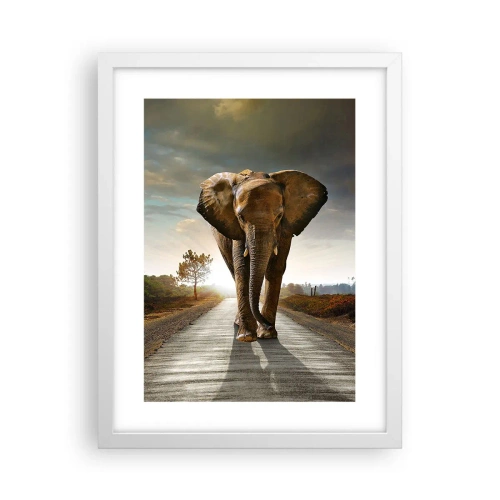 Poster în ramă albă - Și-a pierdut cipicii... - 30x40 cm