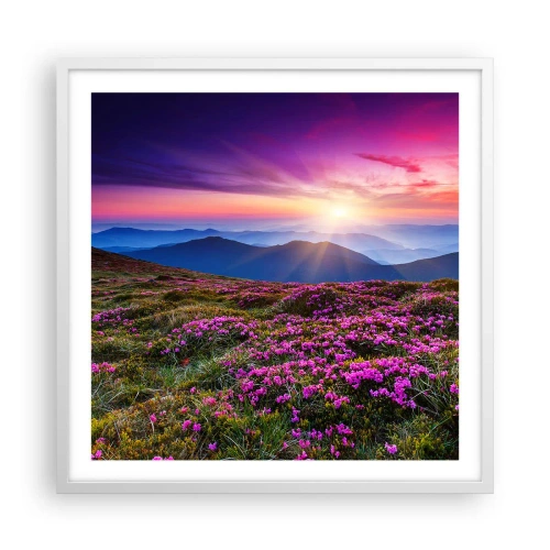 Poster în ramă albă - Ierburile proaspete miroseau puternic - 60x60 cm