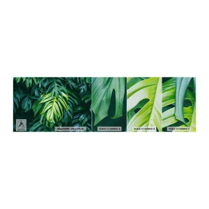 Mostră tapet Premium Canvas - Scufundă-te în prospețime - Planta tropicala, Frunza de monstera, Natură - 100x30 cm