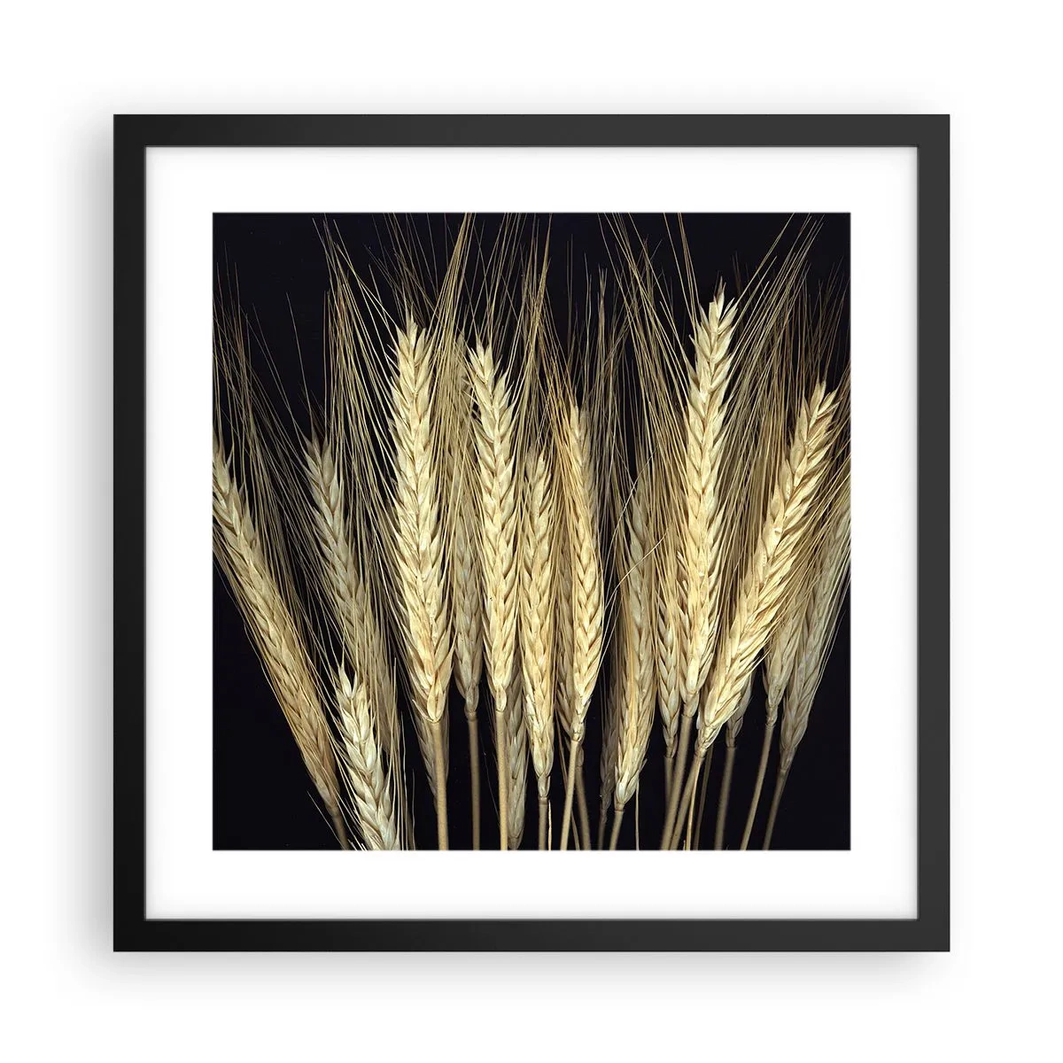 Poster în ramă neagră - Magie rustică - 40x40 cm