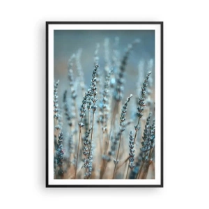 Poster în ramă neagră - Câmpul parfumat - 70x100 cm