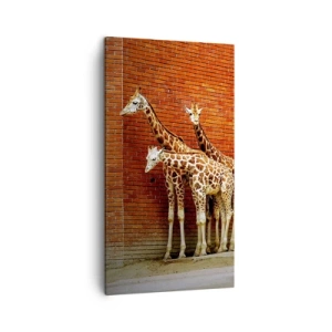 Tablou pe pânză - Vezi vreun salcâm? - 45x80 cm