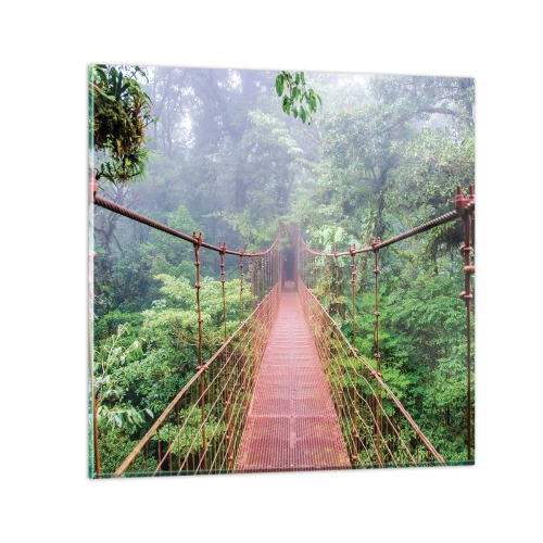 Tablou pe sticlă - Suspendat deasupra coroanelor arborilor - 50x50 cm