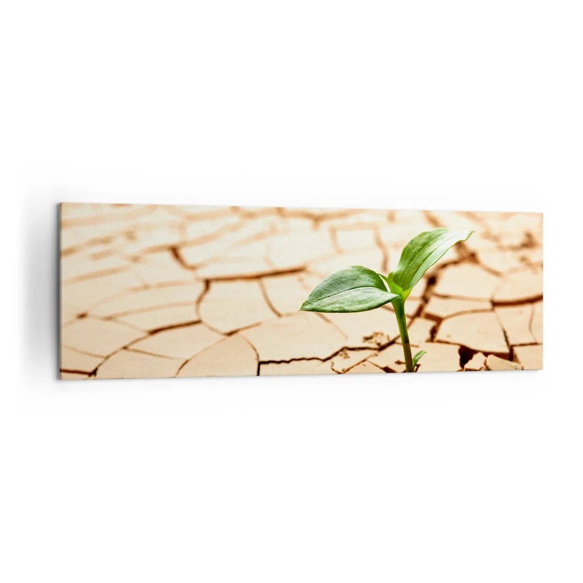Tablou pe pânză - Forța irepresibilă a vieții - 160x50 cm