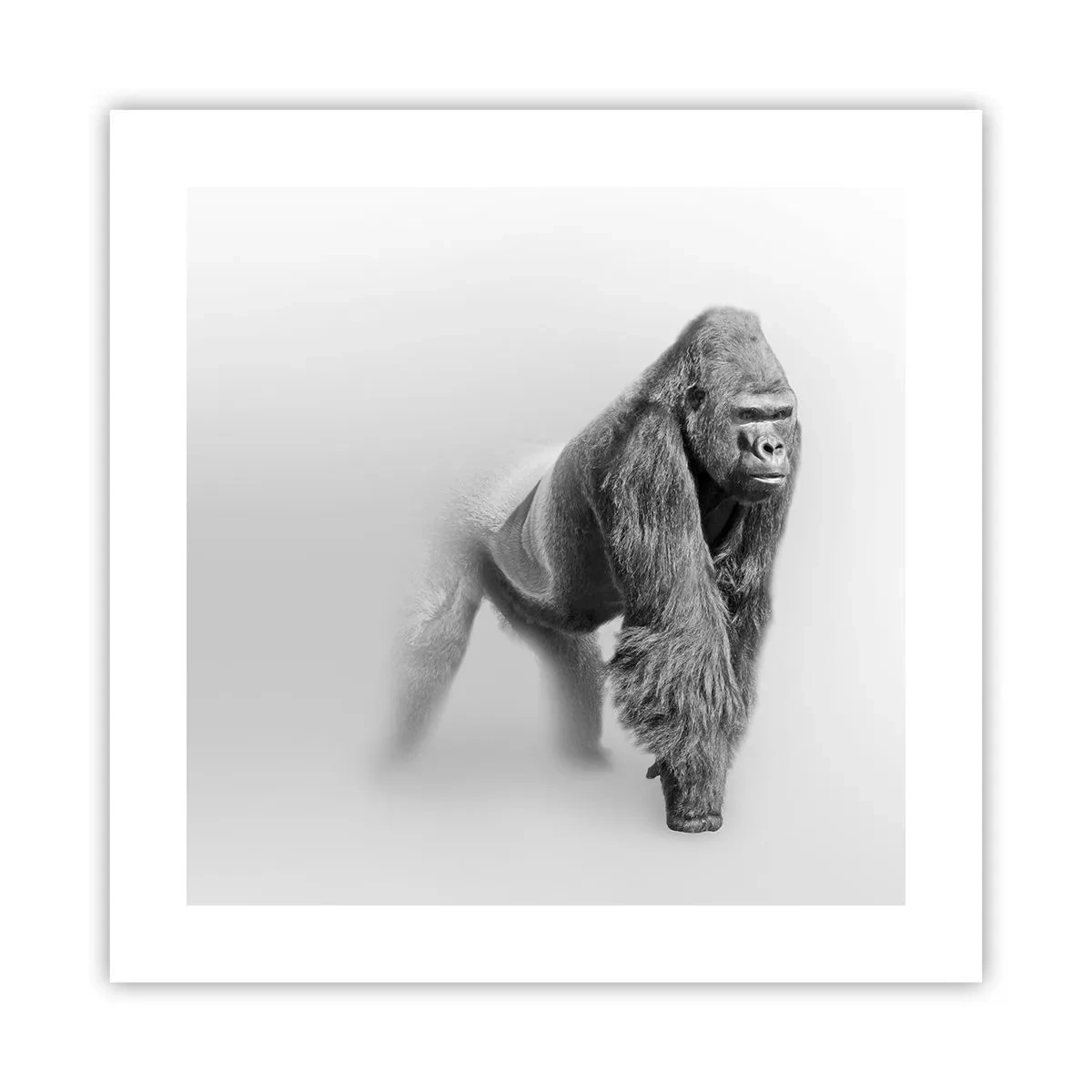 Poster - Încrezător în puterea lui - 40x40 cm