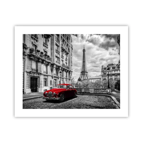 Poster - Prădător în oraș - 50x40 cm