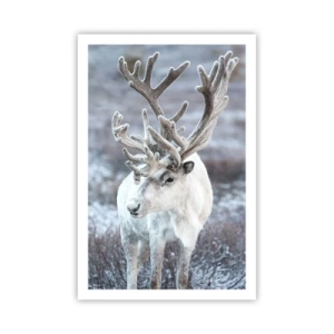 Poster - Portret la soare - 61x91 cm