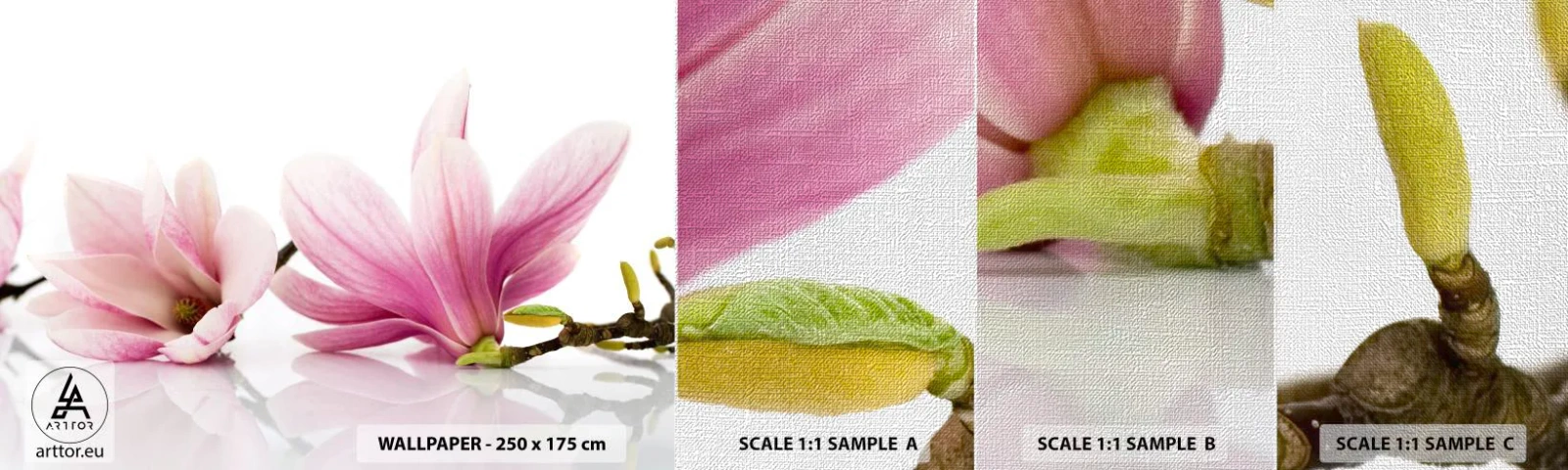 Mostră tapet Premium Canvas - Delicate ca o adiere de primăvară - Floare, Magnolie, Natură - 100x30 cm