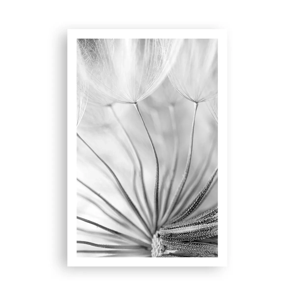 Poster - Suflarea zmeilor - 61x91 cm