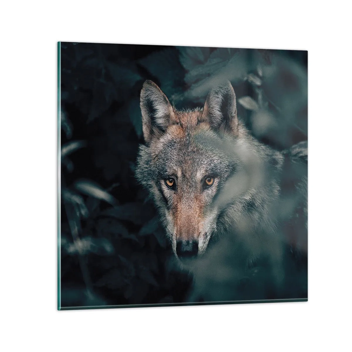 Tablou pe sticlă - Vânător - 60x60 cm