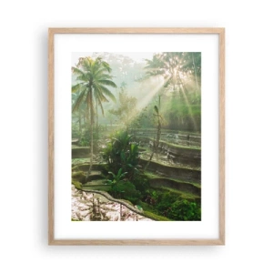 Poster în ramă de stejar deschis - Crescând la soare - 40x50 cm