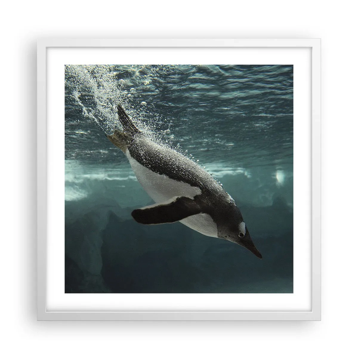 Poster în ramă albă - Bun venit în lumea mea - 50x50 cm