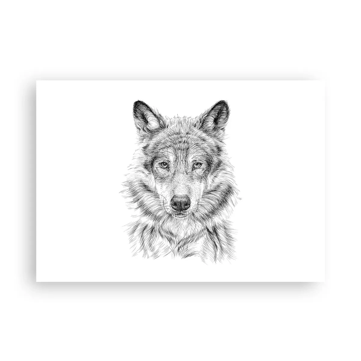 Poster - Un lider înnăscut - 100x70 cm