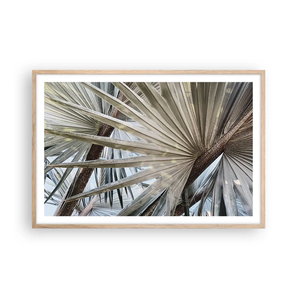 Poster în ramă de stejar deschis - Evantaie din tropice - 91x61 cm