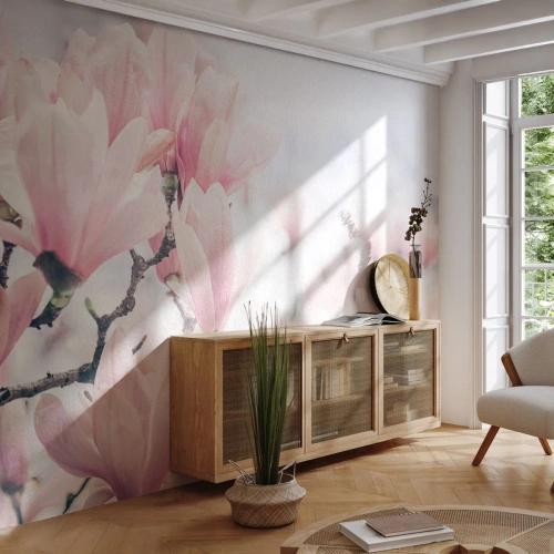 Tapet Autoadeziv Deluxe Sticker - Idealul de subtilitate - Magnolie, Flori, Arborele Magnolia - 350x256 cm