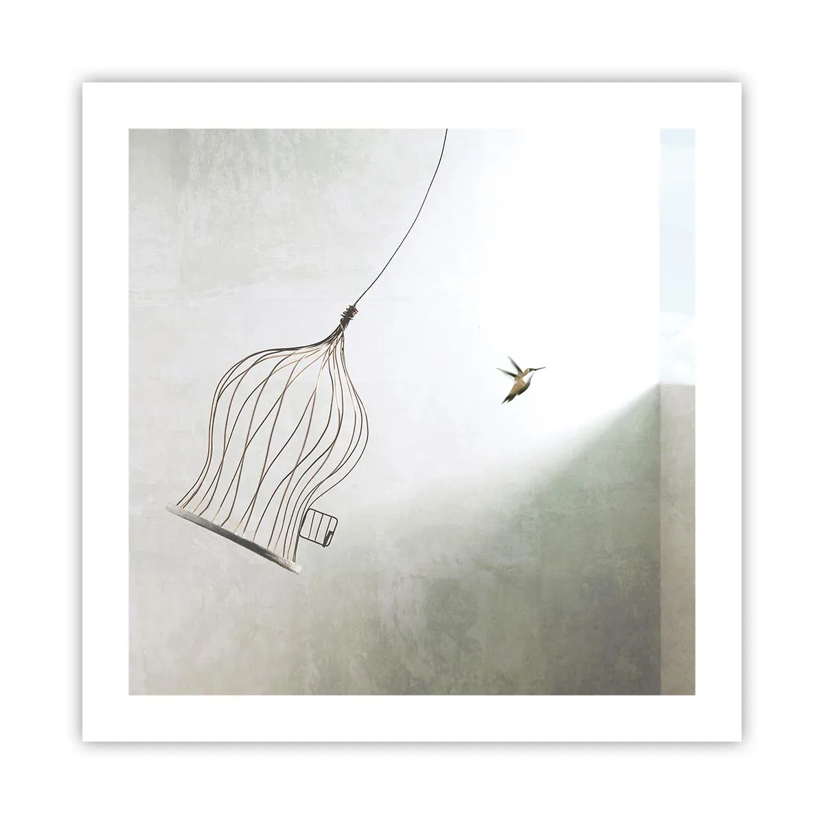 Poster - Eliberat - 50x50 cm
