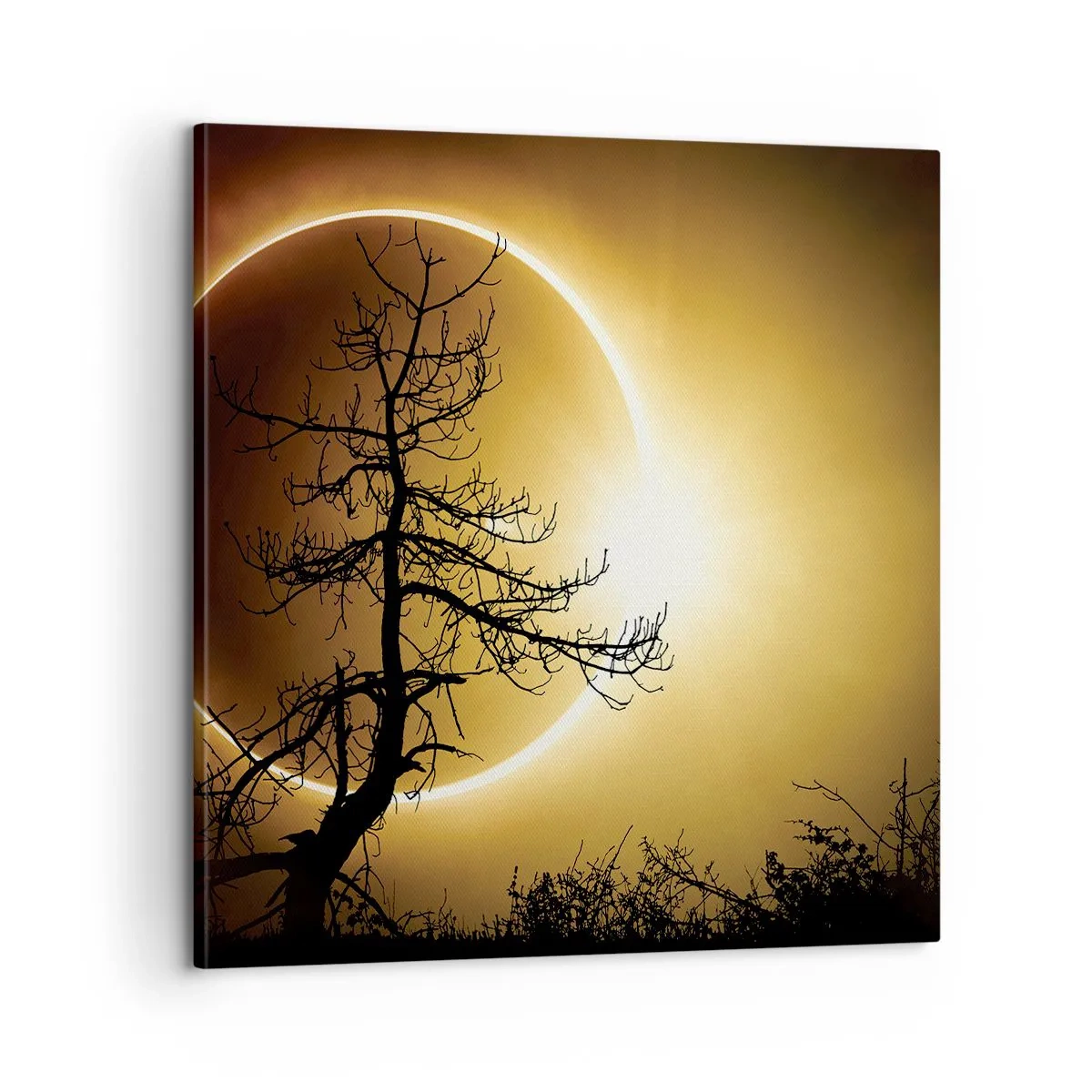 Tablou pe pânză - Eclipsă totală - 60x60 cm