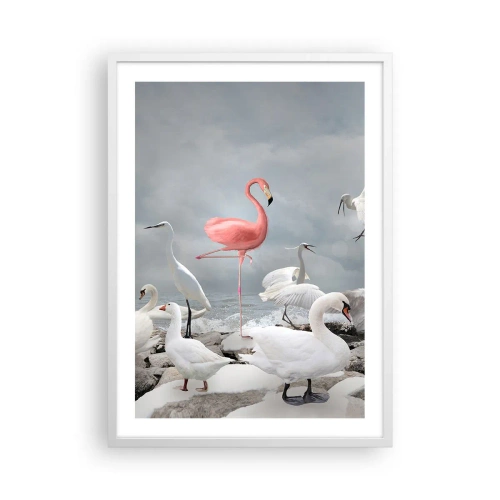 Poster în ramă albă - De unde am venit? - 50x70 cm