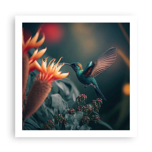 Poster - Viață cu adevărat colorată - 60x60 cm