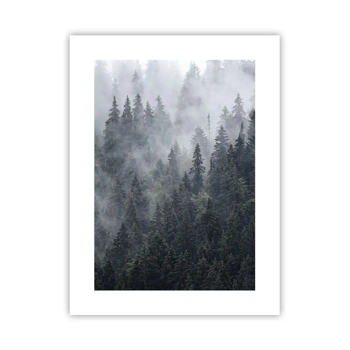 Poster - Zori de pădure - 30x40 cm