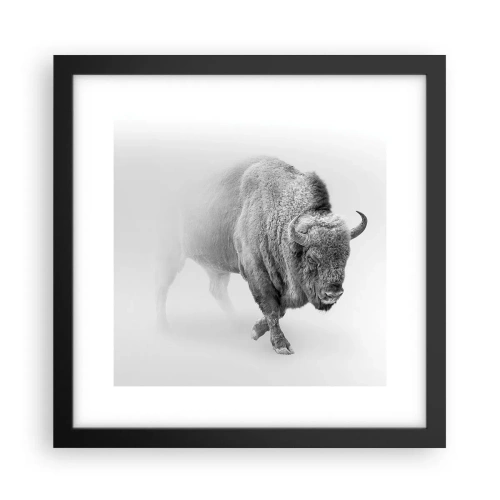 Poster în ramă neagră - Regele preriilor - 30x30 cm