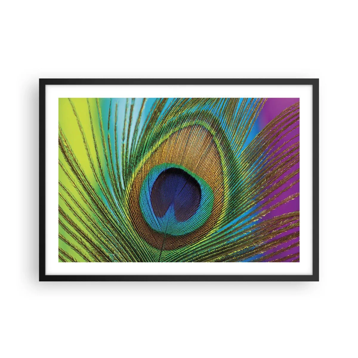 Poster în ramă neagră - Ochi în ochi - 70x50 cm