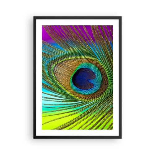 Poster în ramă neagră - Detaliu al unei pene de păun în culori intense - 50x70cm - Ochi în ochi - Decorațiune modernă pentru perete pentru living și dormitor ARTTOR