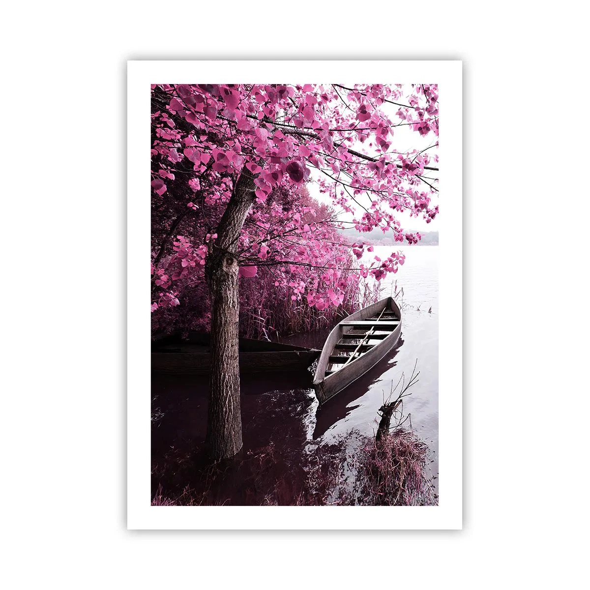Poster - În tăcerea roz - 50x70 cm