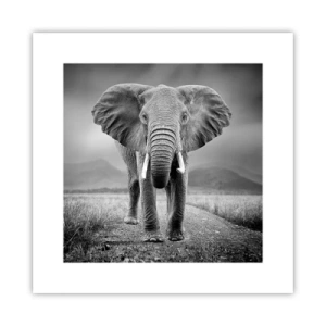 Poster - Gazda te salută - 30x30 cm