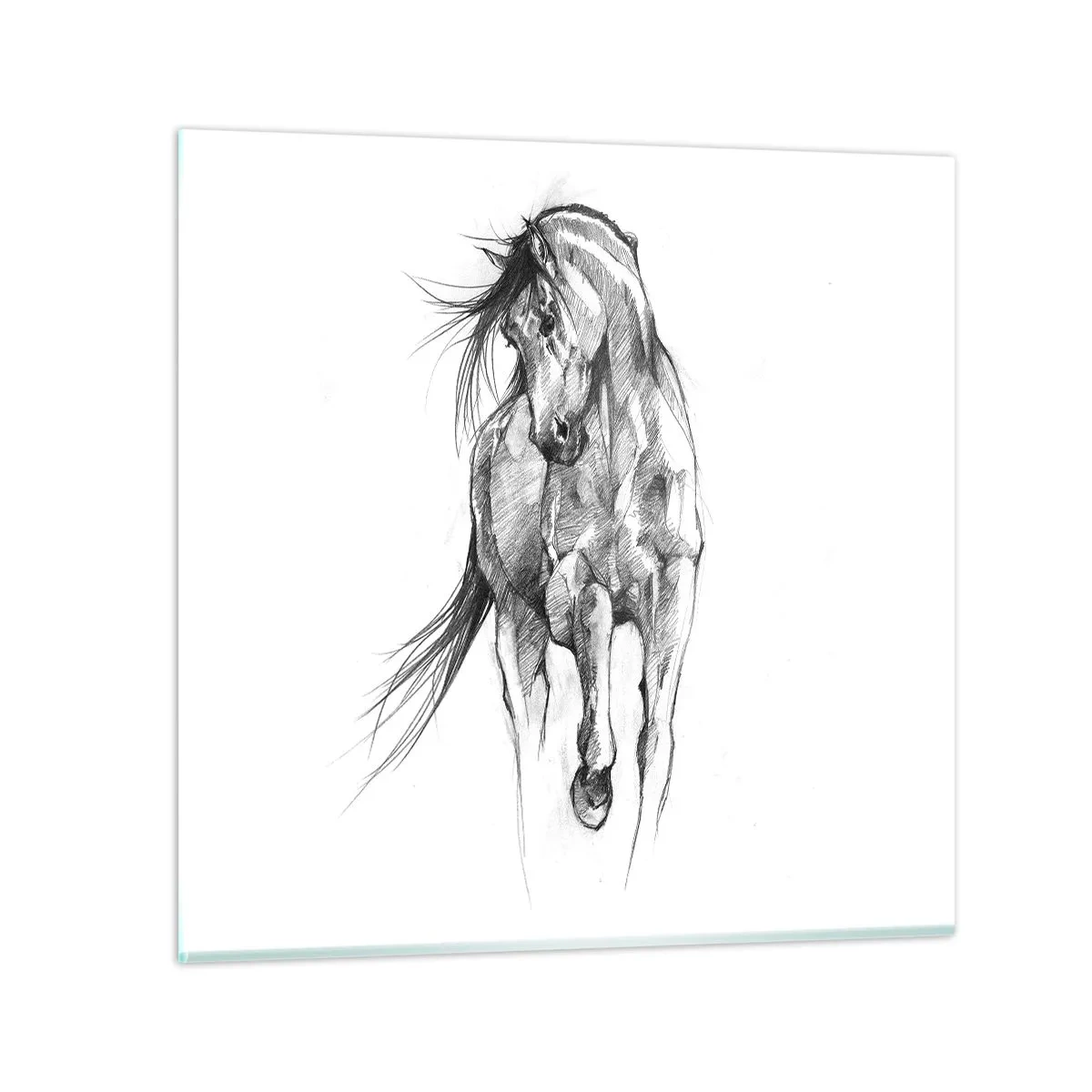 Tablou pe sticlă - Într-un trap grațios - 40x40 cm