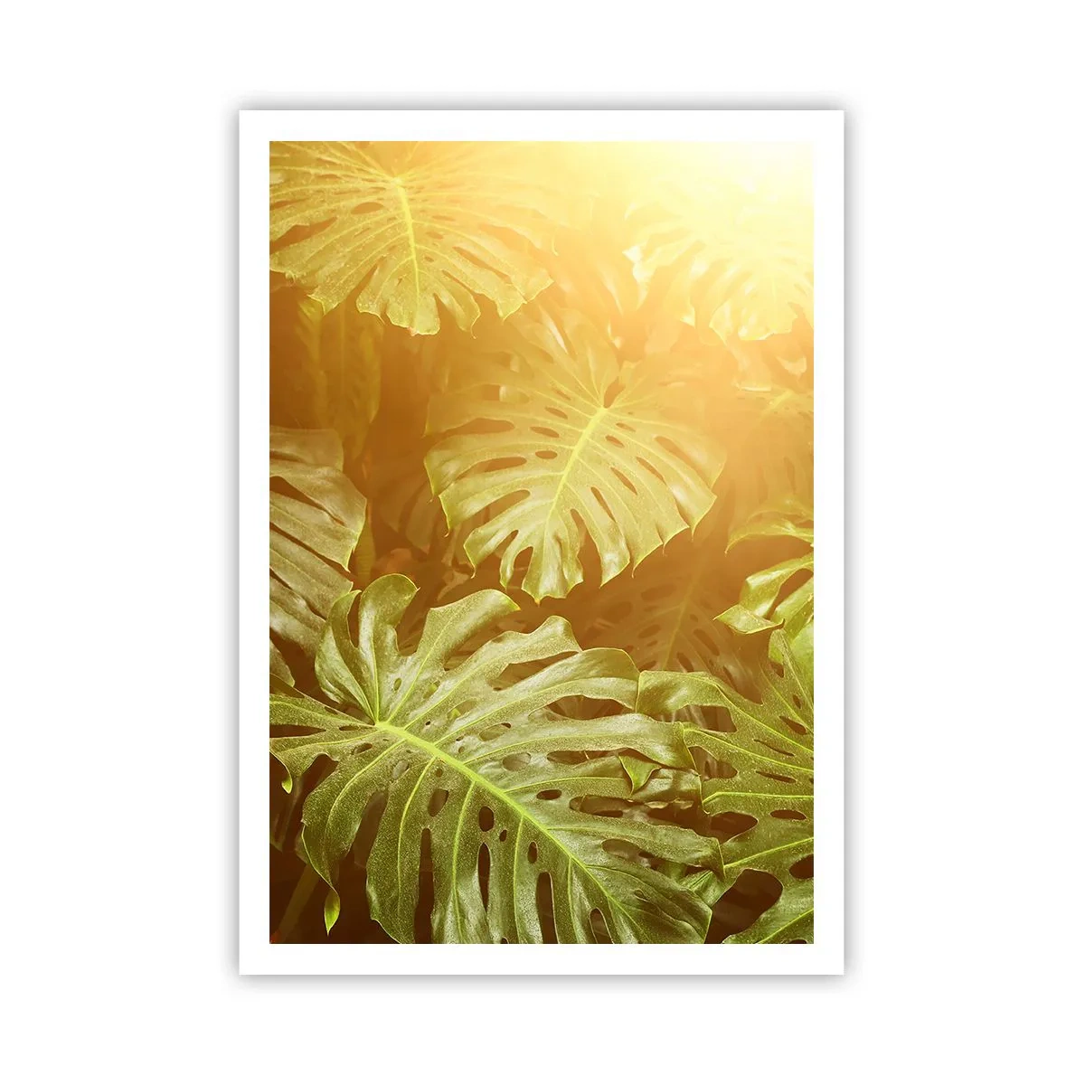Poster - Poftiți în verde - 70x100 cm