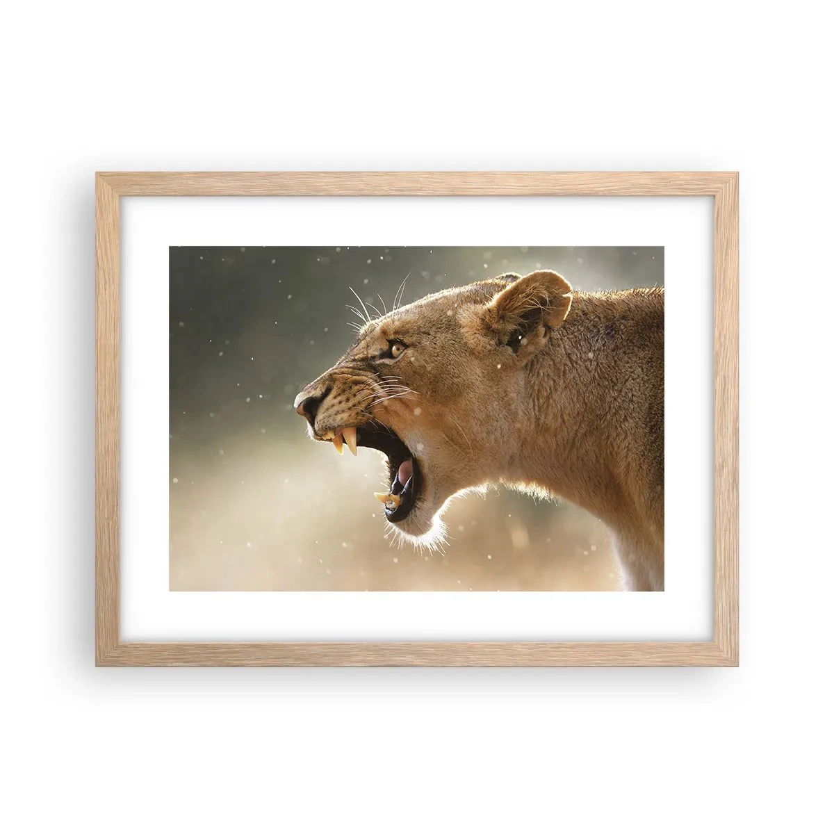 Poster în ramă de stejar deschis - Încearcă să nu asculți - 40x30 cm