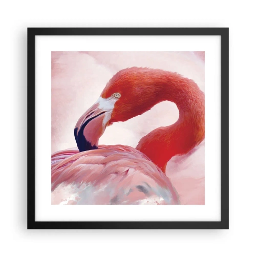 Poster în ramă neagră - Frumusețea păsărilor - 40x40 cm