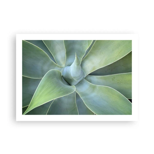 Poster - Nașterea verdeții - 70x50 cm