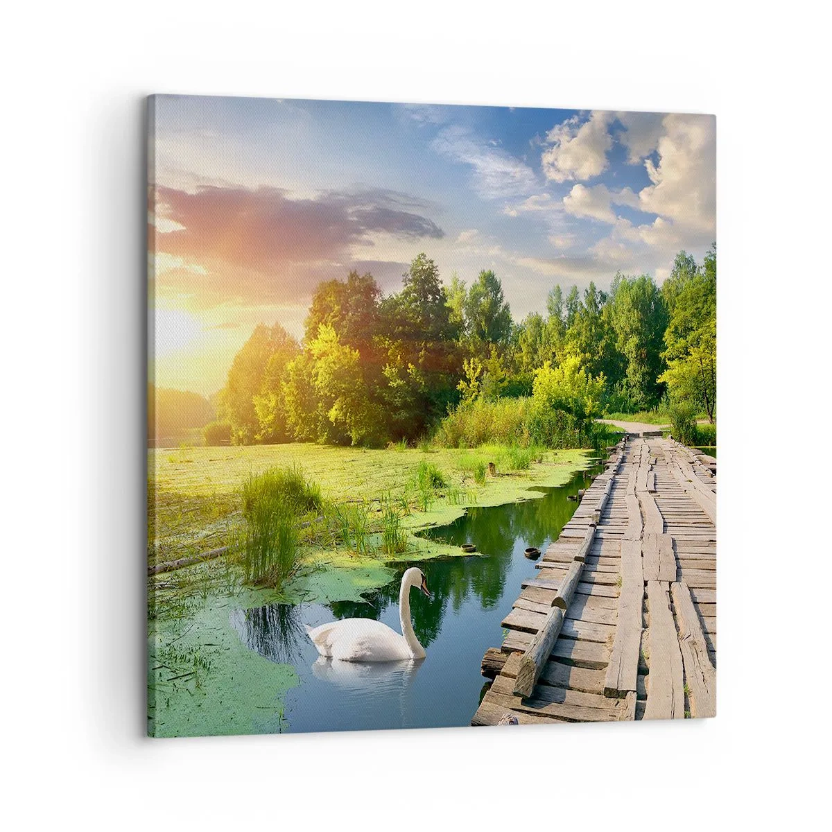 Tablou pe pânză - Vară, vară peste tot - 60x60 cm