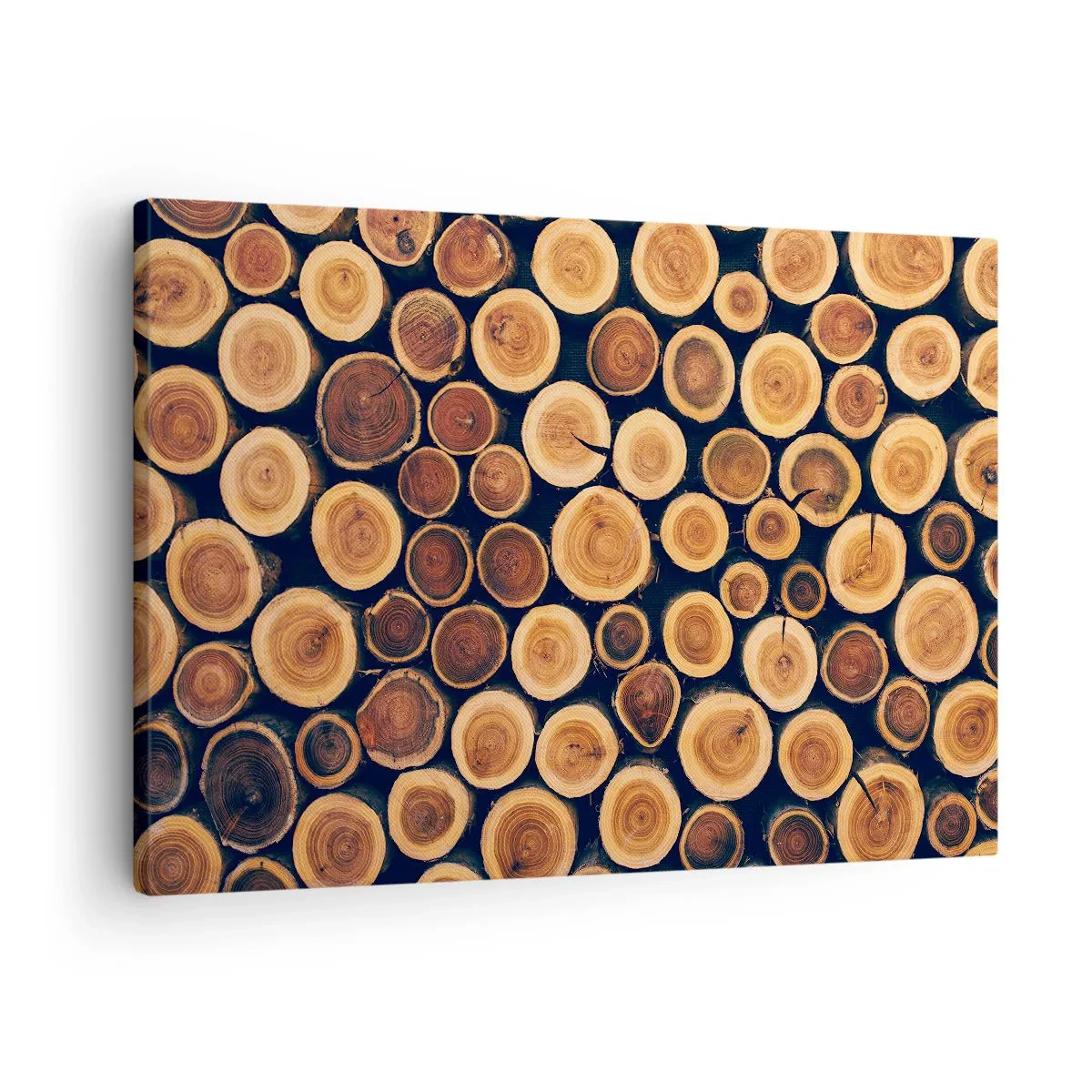 Tablou pe pânză Canvas - Model realizat din secțiuni transversale de bușteni de lemn - 70x50cm - Cât de bătrân sunt? - Decorațiune modernă pentru perete pentru living și dormitor ARTTOR