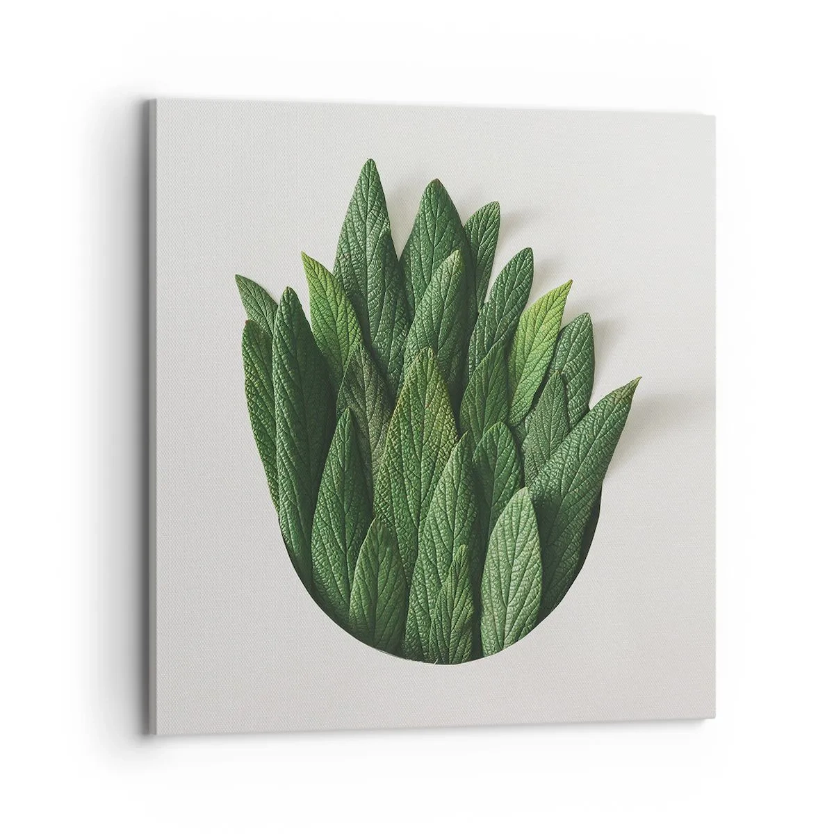 Tablou pe pânză - Curiozitatea nestăvilită - 70x70 cm