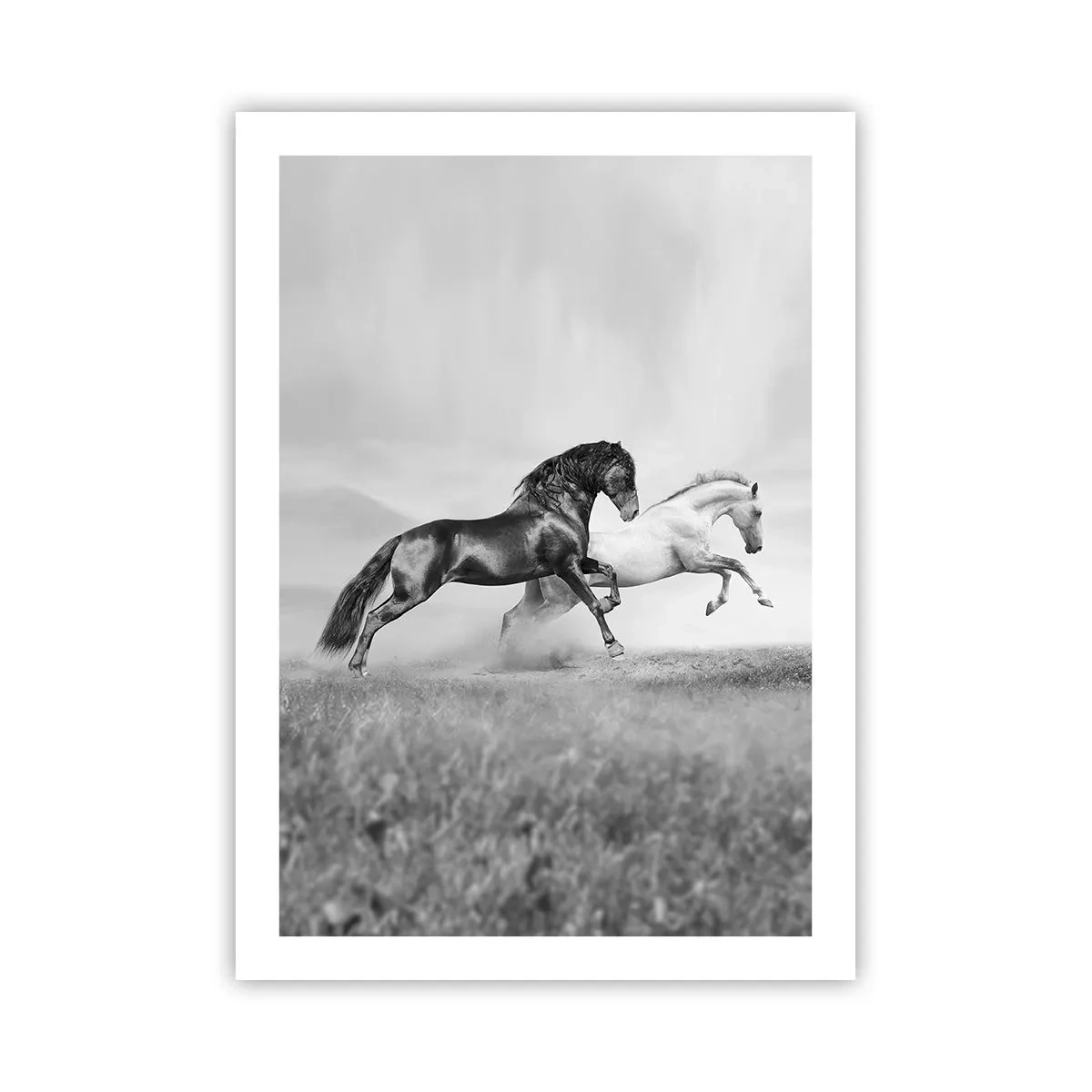 Poster - Îngeri și demoni - 50x70 cm