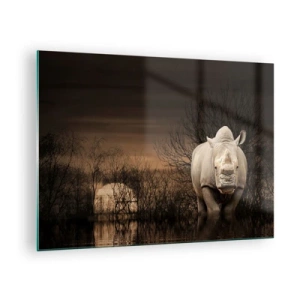 Tablou pe sticlă - Rinocer pe fondul apusului de soare - 70x50cm - Albul împotriva naturii - Decorațiune modernă pentru perete pentru living și dormitor ARTTOR