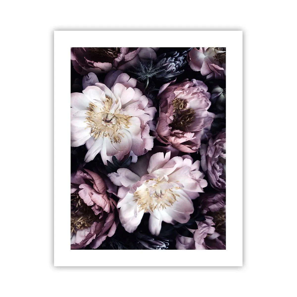 Poster - Buchet în stil vechi - 40x50 cm