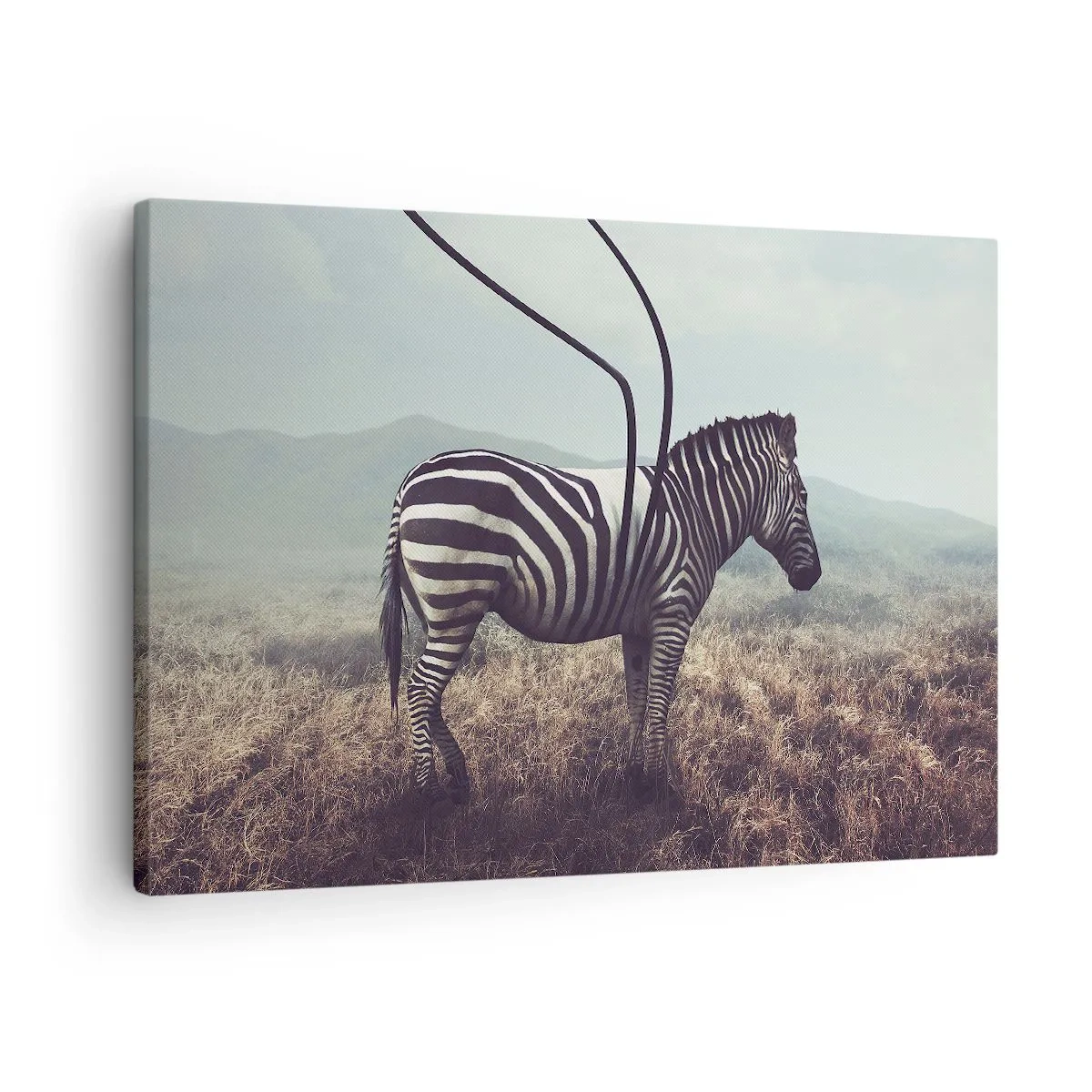 Tablou pe pânză Canvas - O zebră suprarealistă pe un peisaj ierbos - 70x50cm - Atenție! Defecțiune - Decorațiune modernă pentru perete pentru living și dormitor ARTTOR