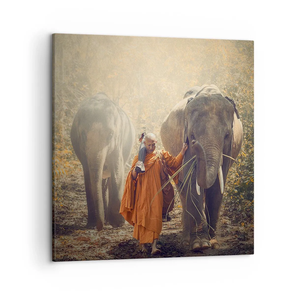 Tablou pe pânză - Înțelegere deplină - 50x50 cm