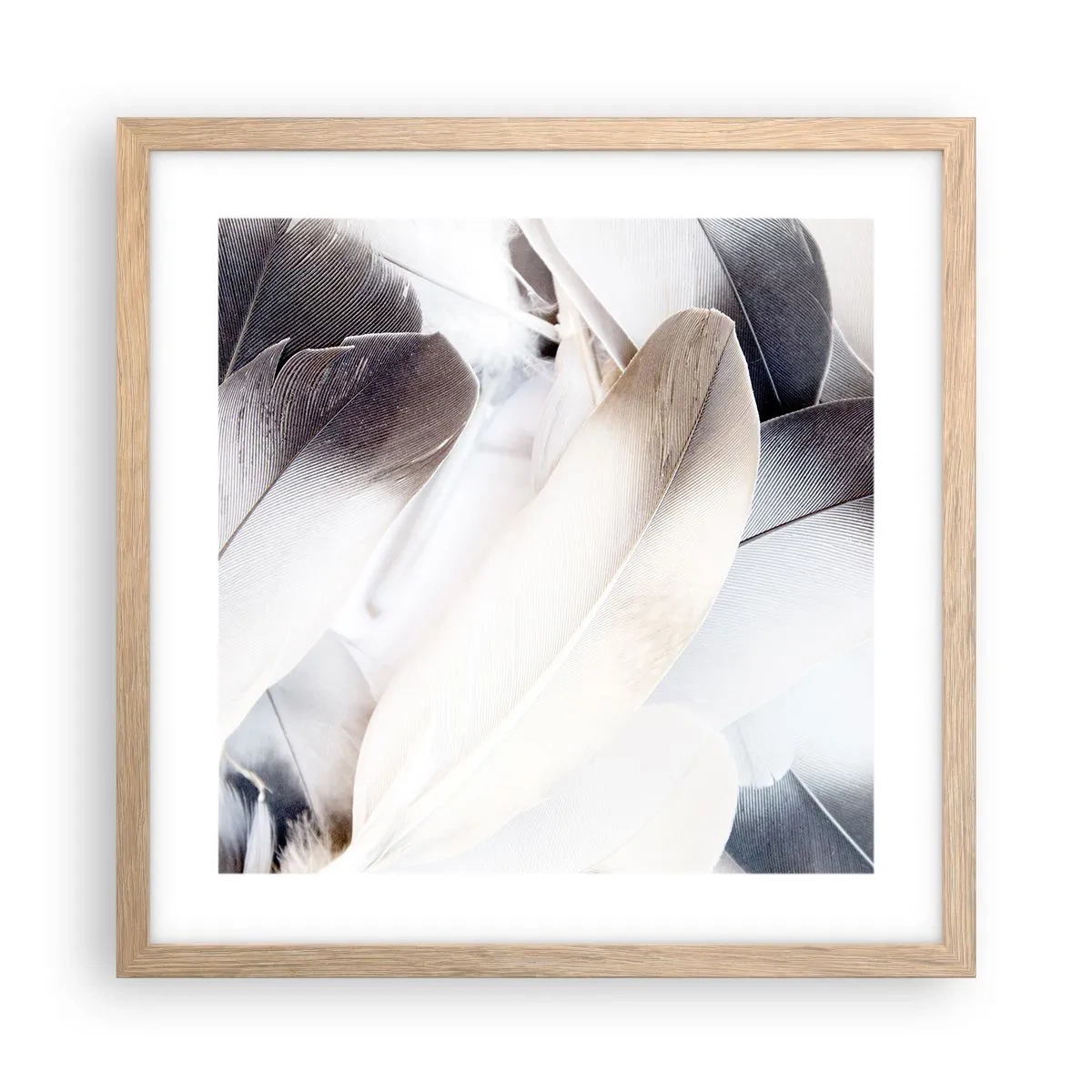 Poster în ramă de stejar deschis - Aproape angelice - 40x40 cm