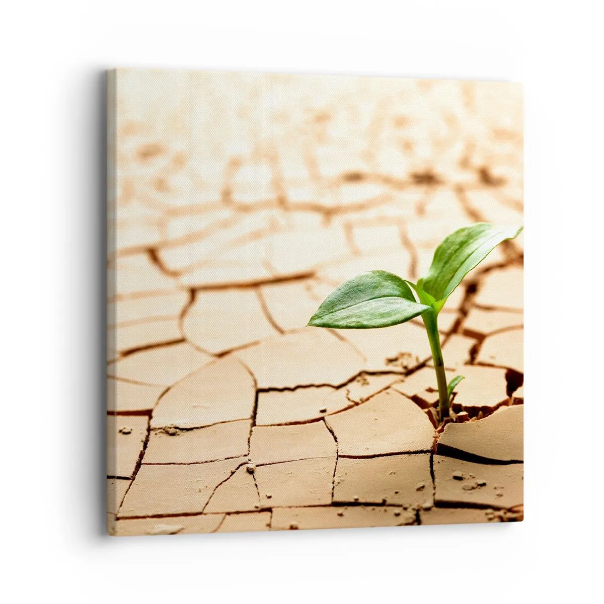 Tablou pe pânză - Forța irepresibilă a vieții - 30x30 cm