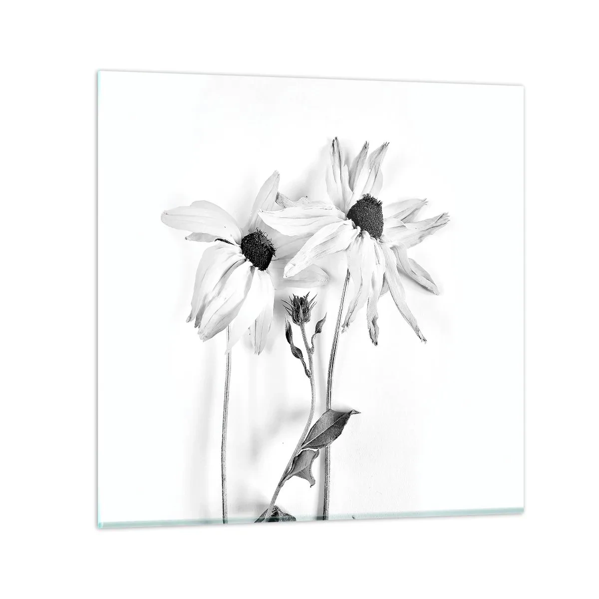 Tablou pe sticlă - Nimeni nu vrea să fie singur - 40x40 cm