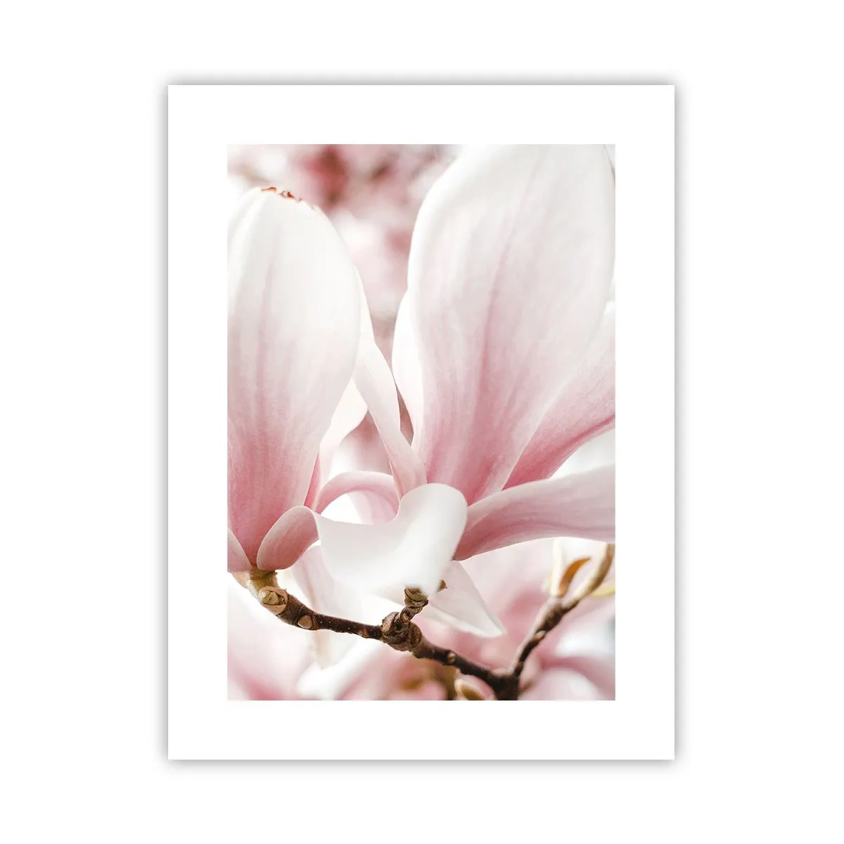 Poster - Imensitatea sensibilității - 30x40 cm